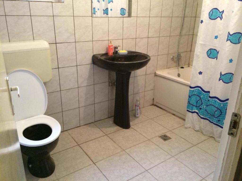 Casa Cu Curte Hotel Braşov Buitenkant foto